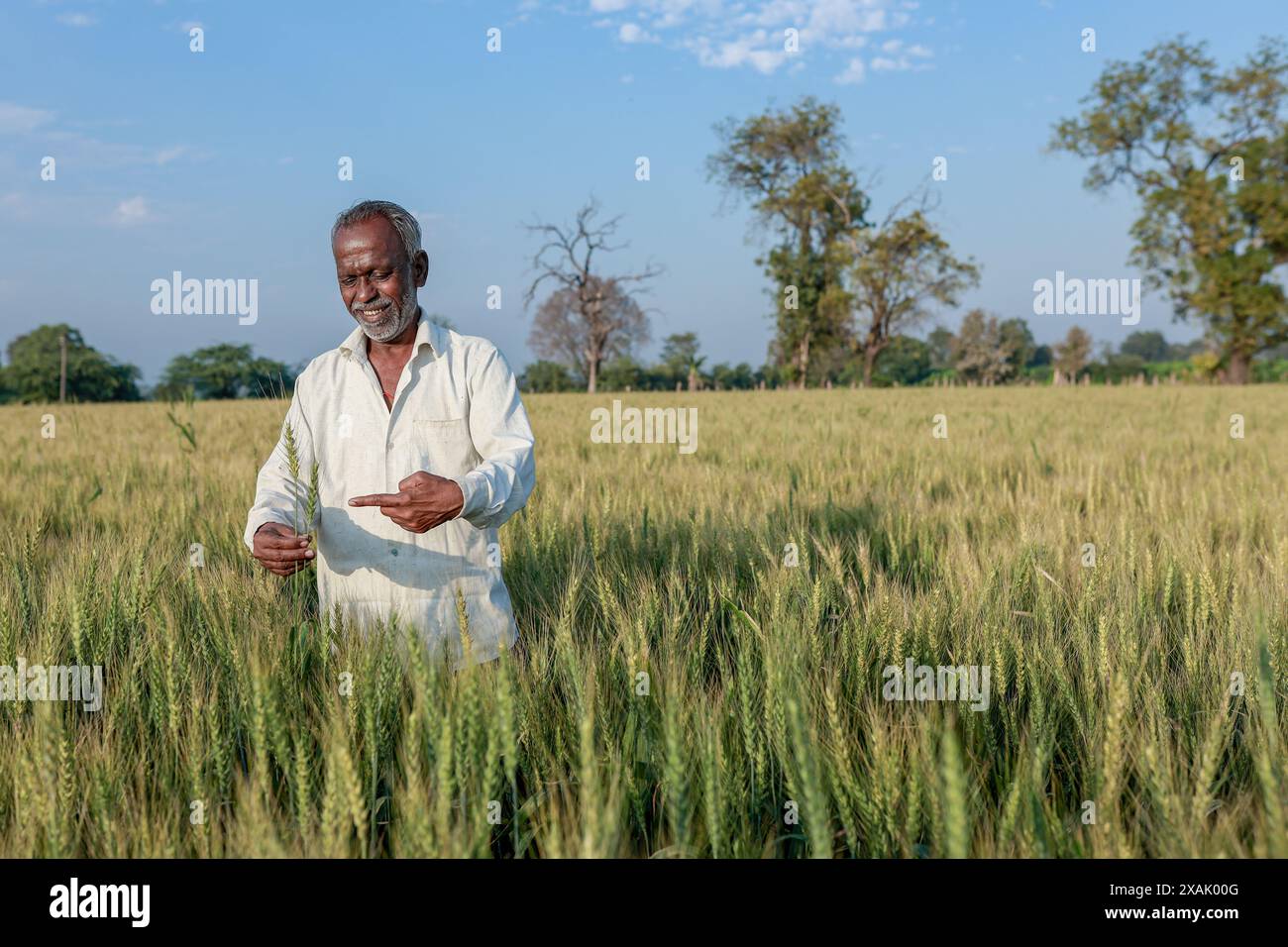 Indian farmer standing at wheat field, Happy farmer Stock Photo - Alamy