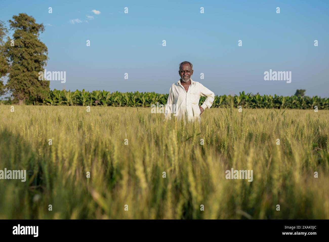 Indian farmer smiling in field hi-res stock photography and images - Alamy