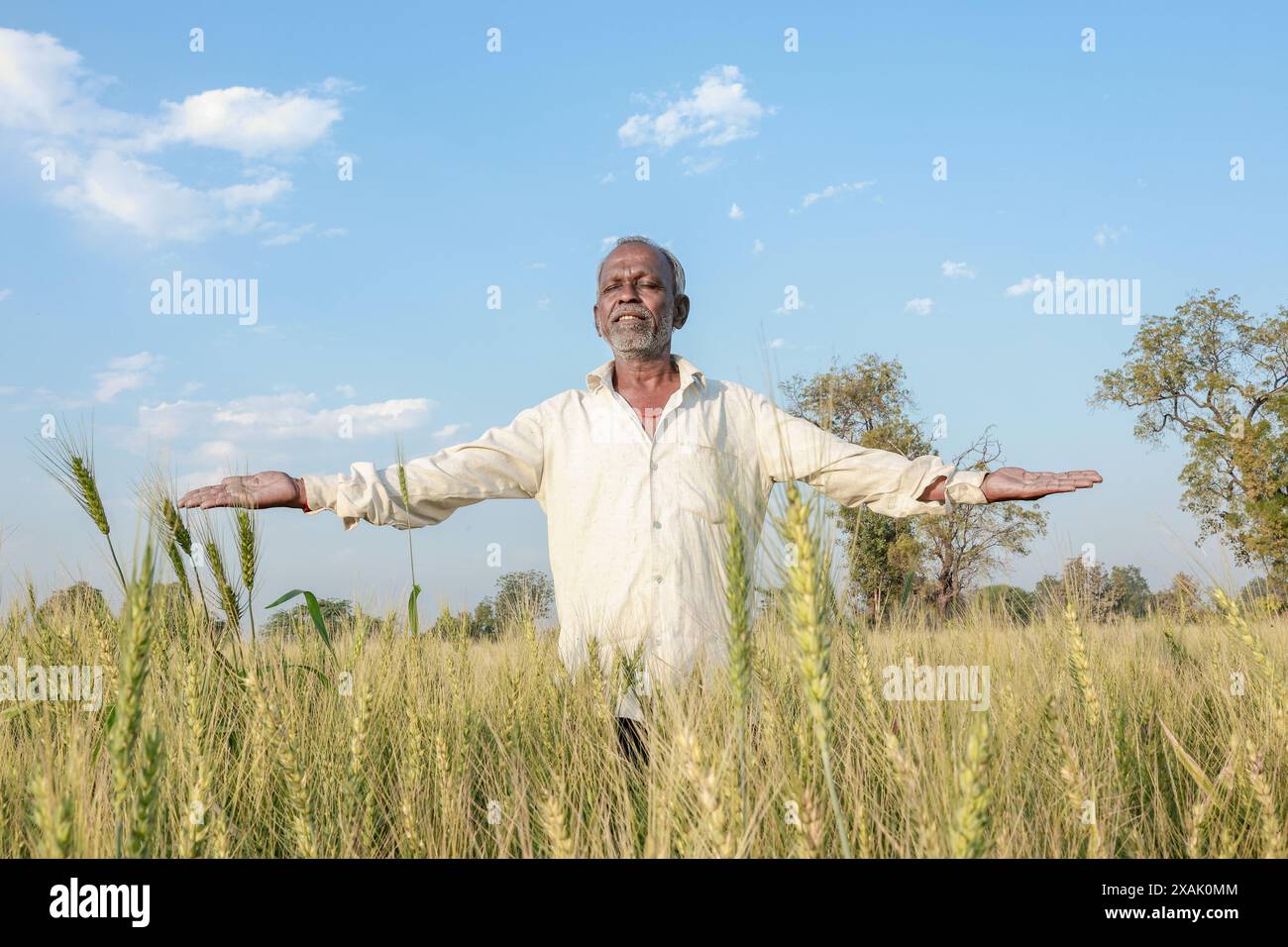 Indian farmer standing at wheat field, Happy farmer Stock Photo - Alamy