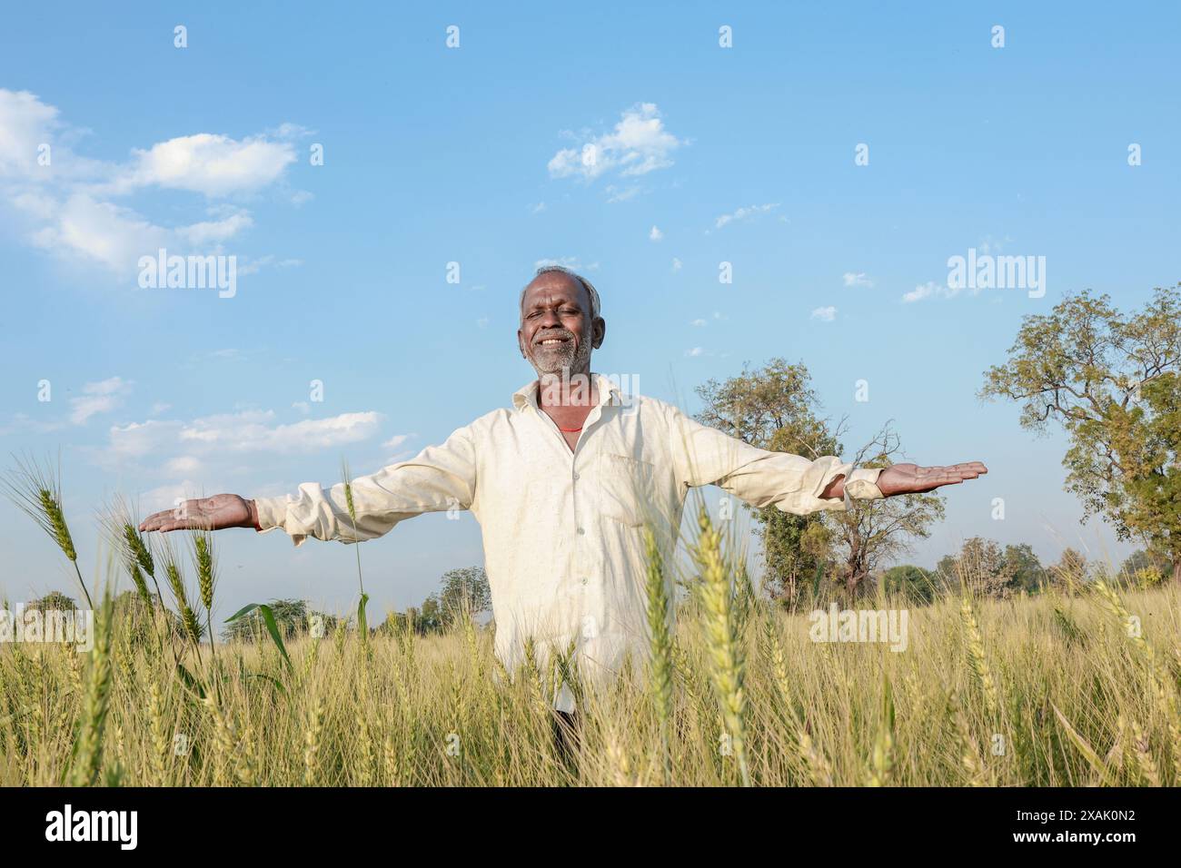 Indian farmer standing at wheat field, Happy farmer Stock Photo - Alamy