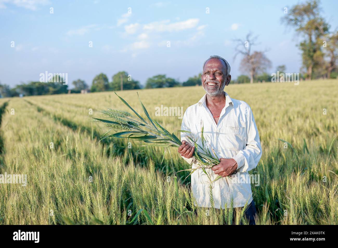 Indian farmer standing at wheat field, Happy farmer Stock Photo - Alamy