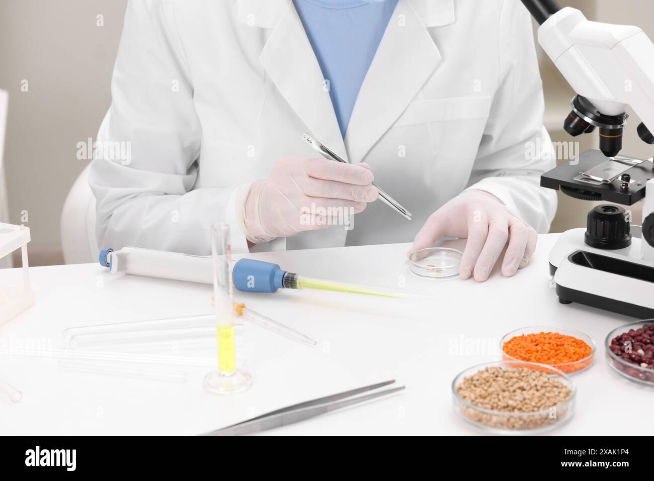 Quality control. Food inspector examining working in laboratory ...