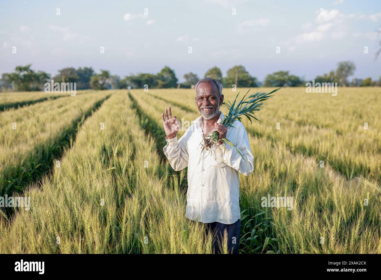 Indian farmer standing at wheat field, Happy farmer Stock Photo - Alamy
