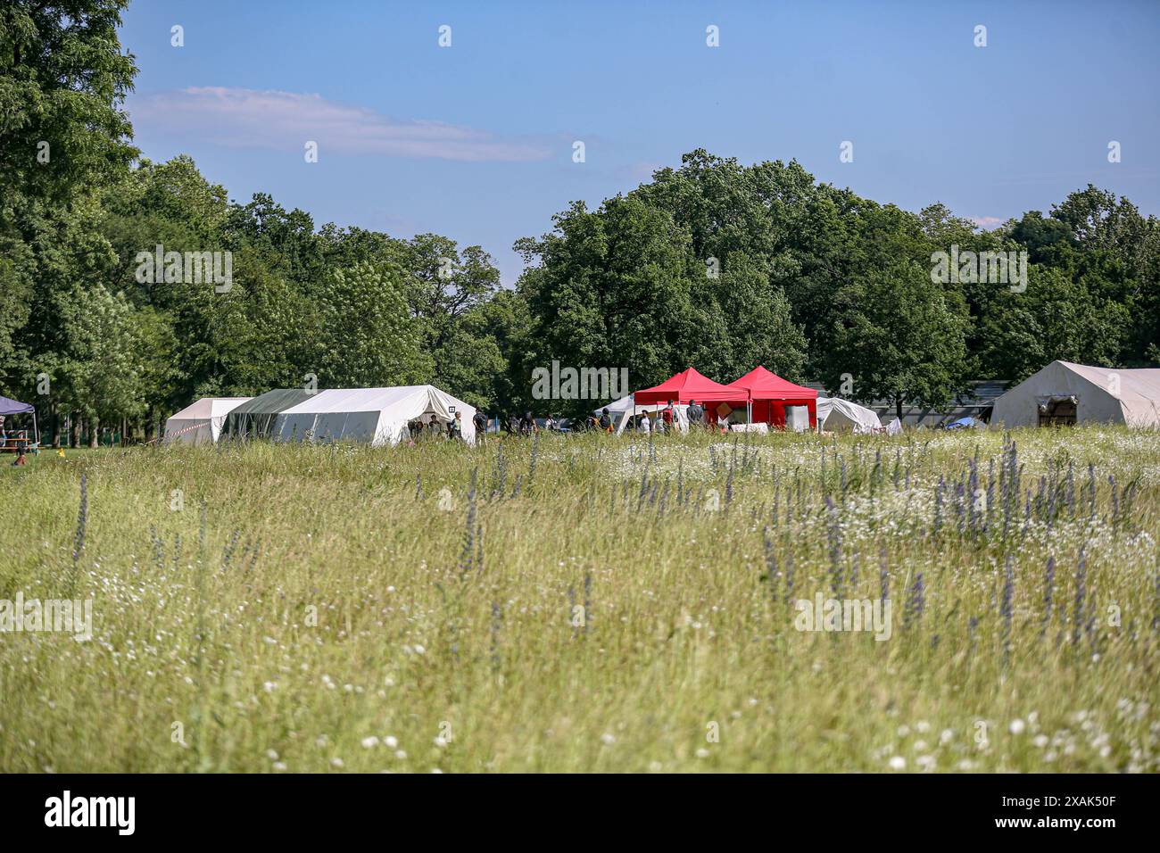 Un climate change conference november 2024 hires stock photography and