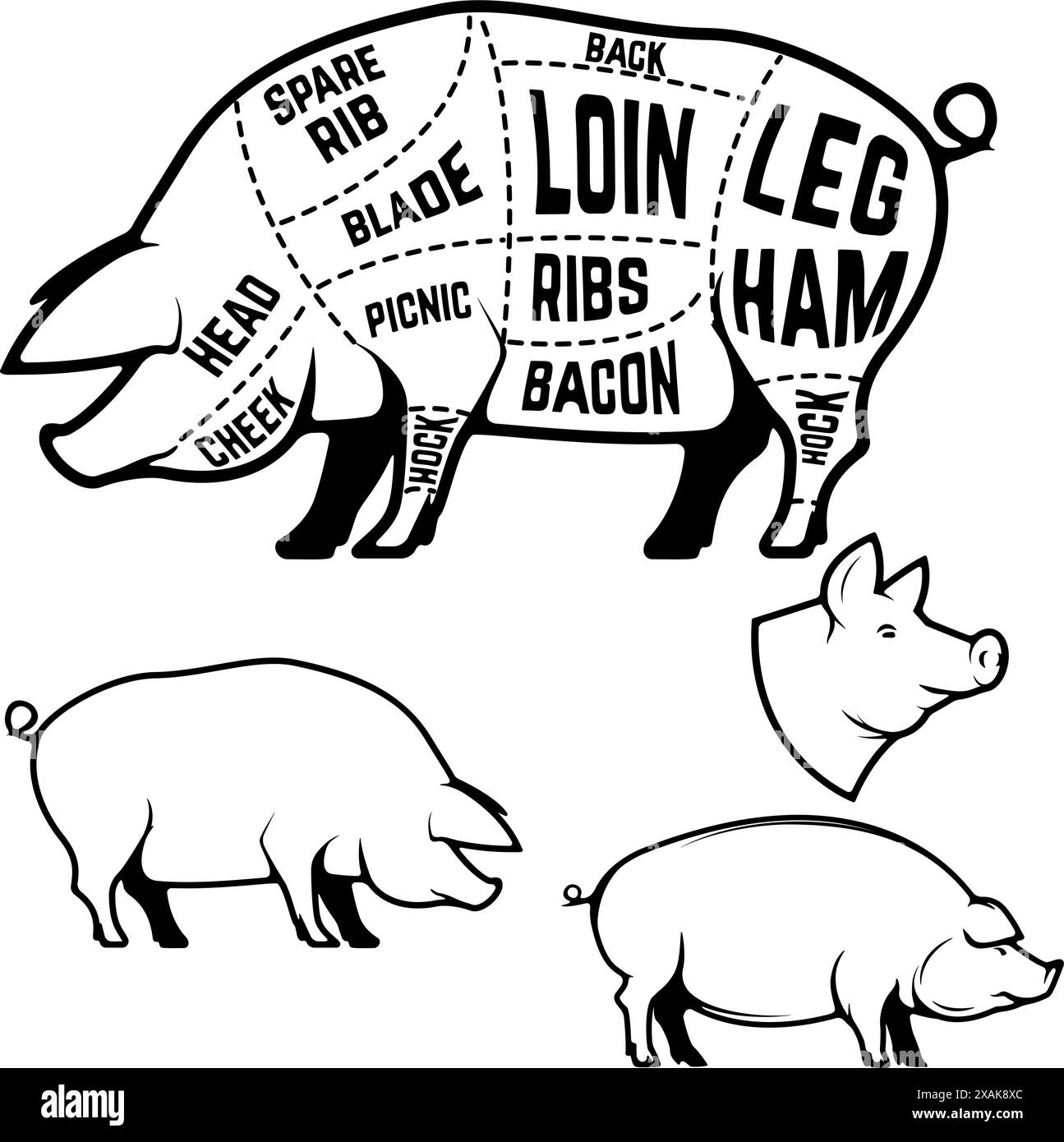 Butcher diagram, scheme and guide Pork cuts. Set of pig silhouettes