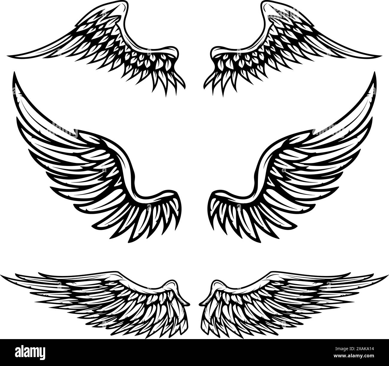 Set of vintage vector wings isolated on white background. Design Stock ...