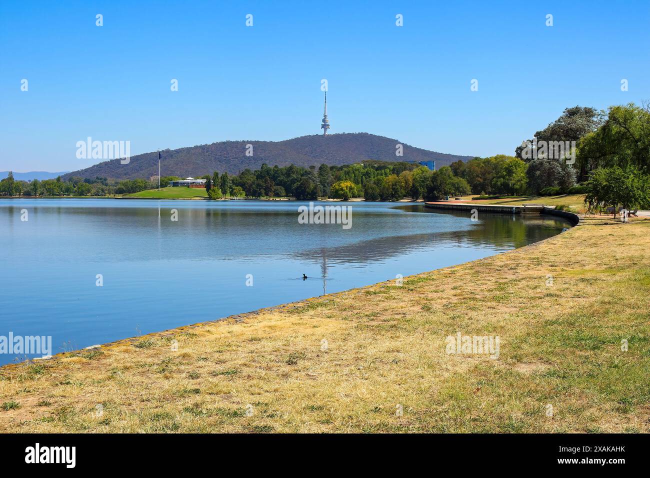 Grassy shore of Lake Burley Griffin in Canberra, Australian Capital Territory Stock Photo