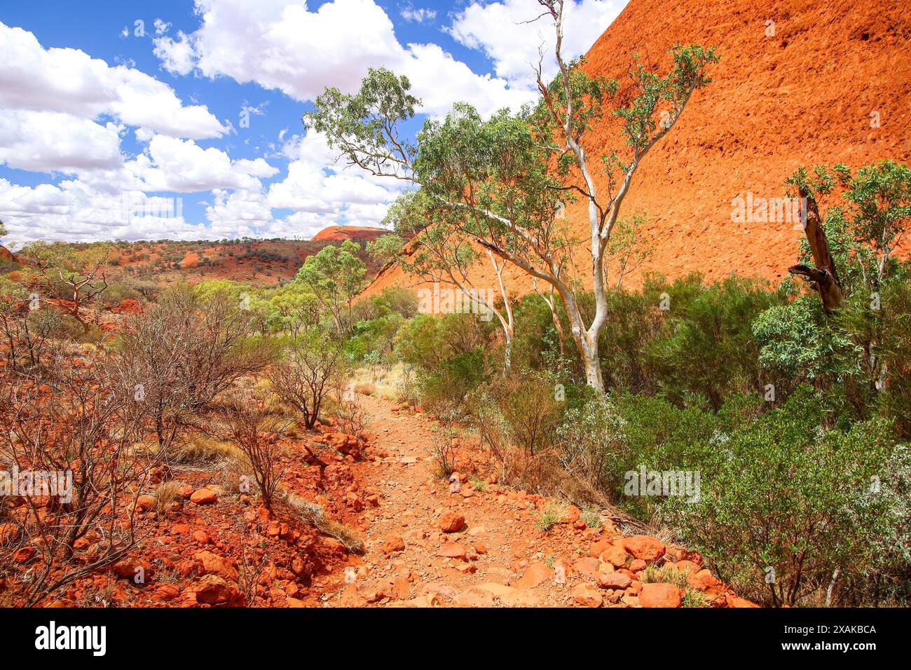 Valley of the Winds trail in Kata Tjuta aka the Olgas, large domed rock formations in Northern Territory, Central Australia - Sandstone inselberg sacr Stock Photo
