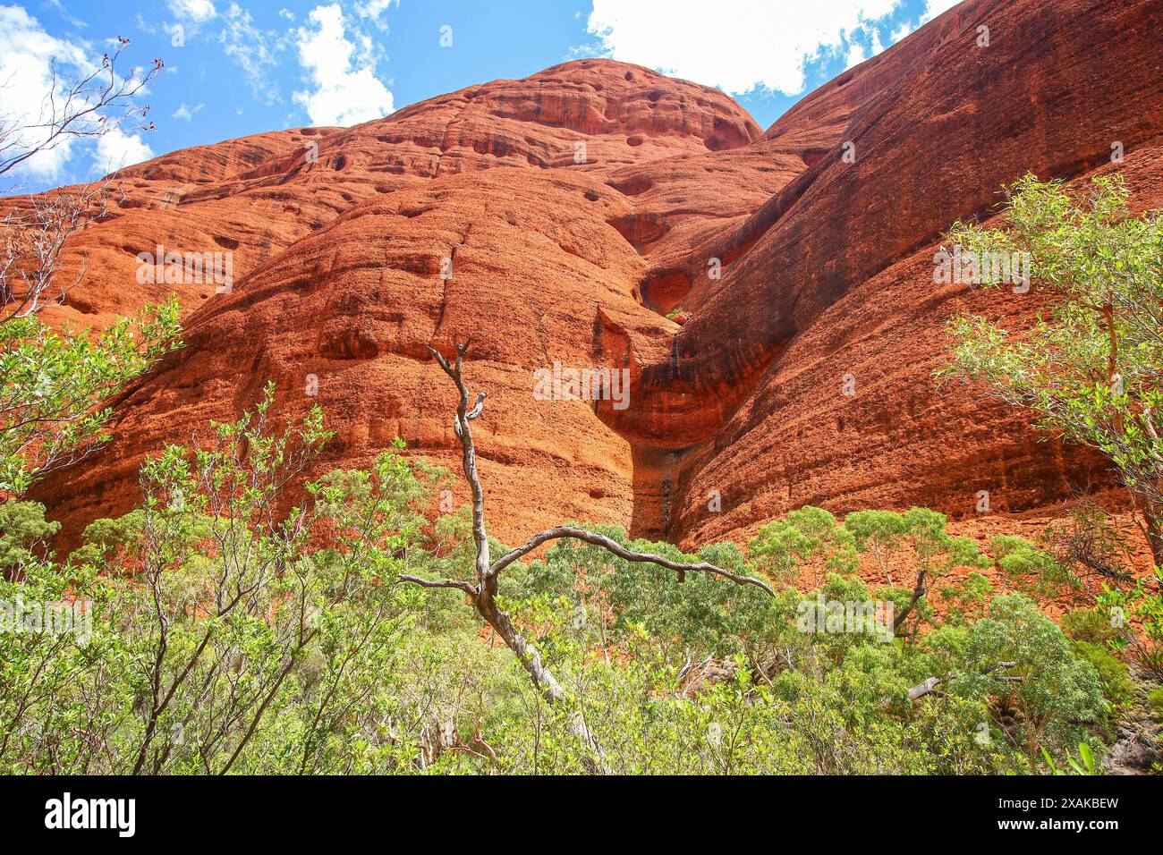 Valley of the Winds trail in Kata Tjuta aka the Olgas, large domed rock formations in Northern Territory, Central Australia - Sandstone inselberg sacr Stock Photo