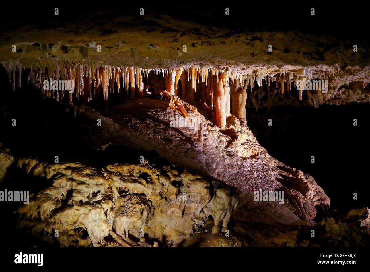 Stalactites in the Victoria Fossil Cave in the Naracoorte Caves ...