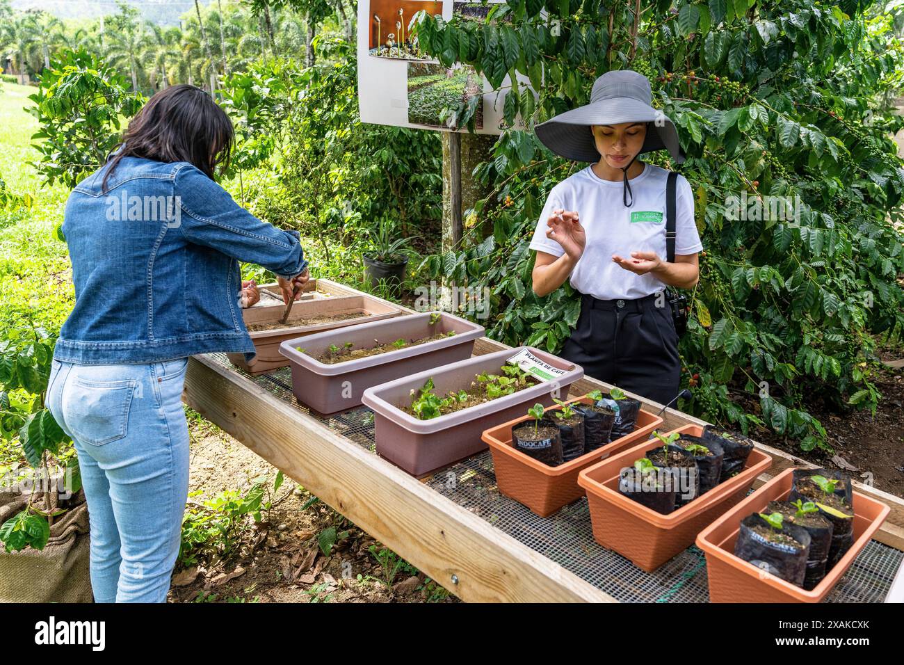 North America, Caribbean, Hispaniola Island, Dominican Republic, La