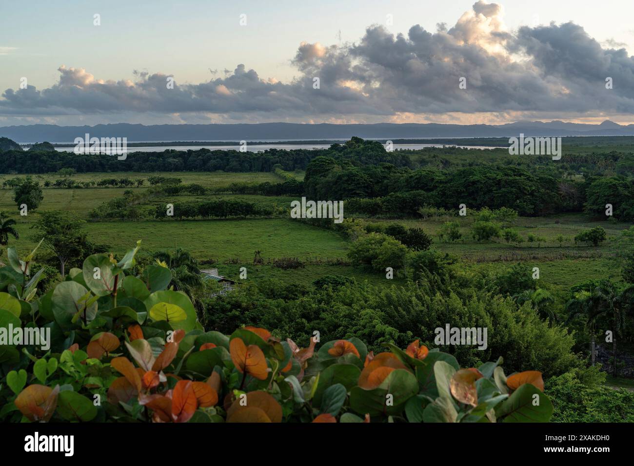 North America, Caribbean, Greater Antilles, Hispaniola Island