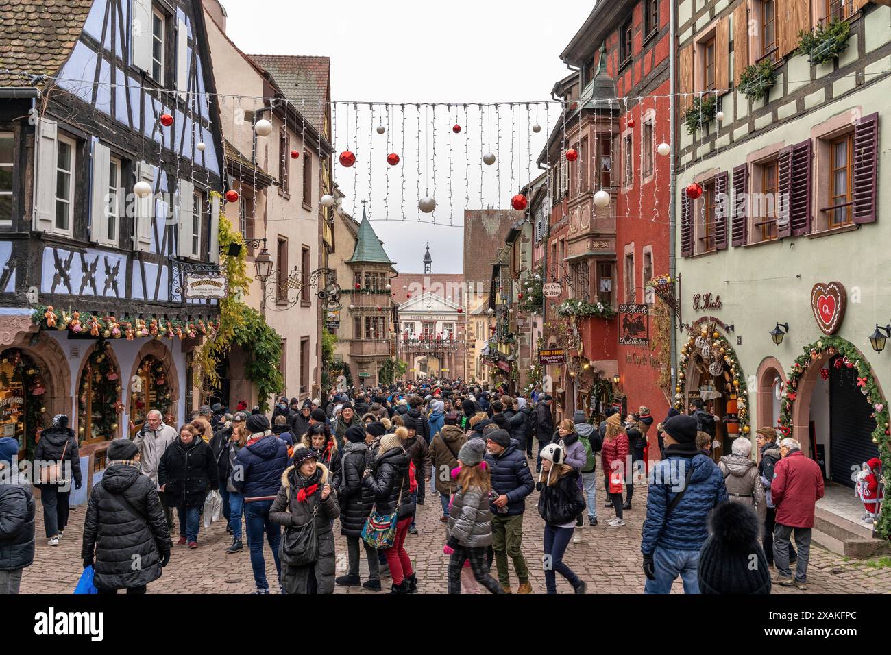 lively-border-hi-res-stock-photography-and-images-alamy