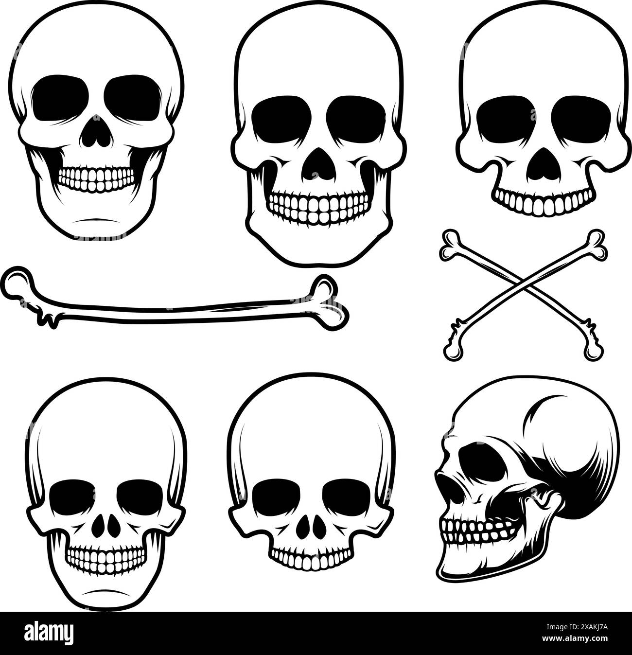 Set of the human skulls in vector Stock Vector