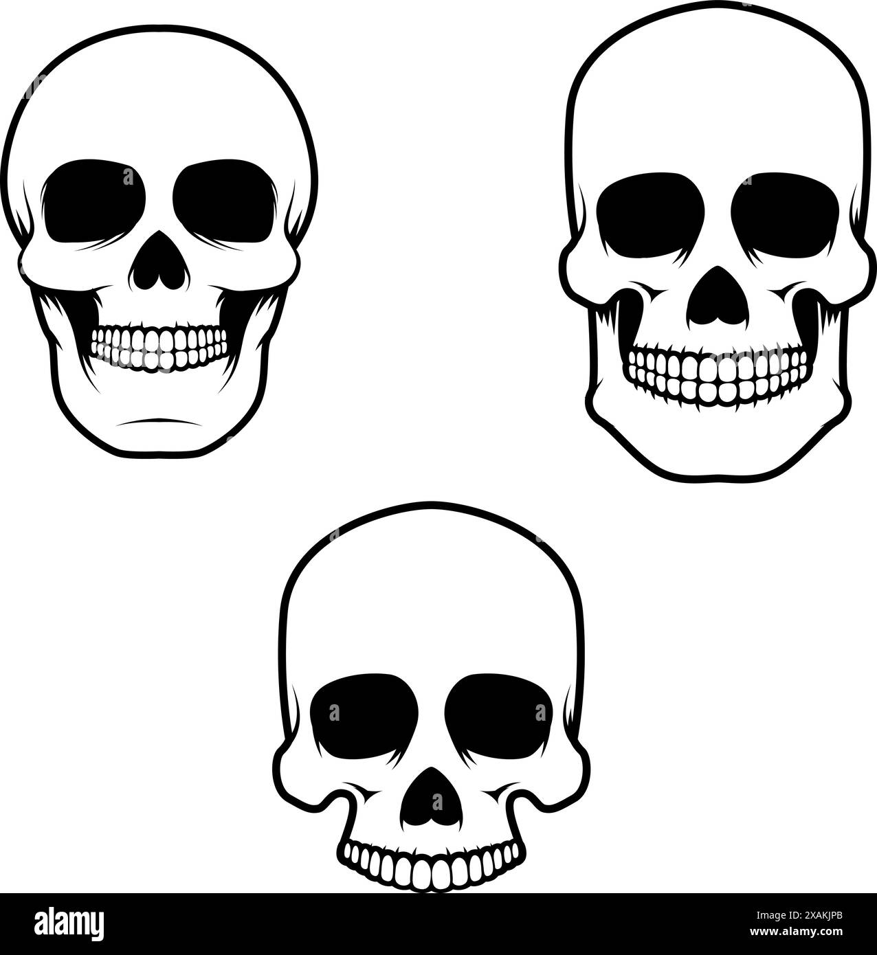 Set of the human skulls in vector Stock Vector Image & Art - Alamy