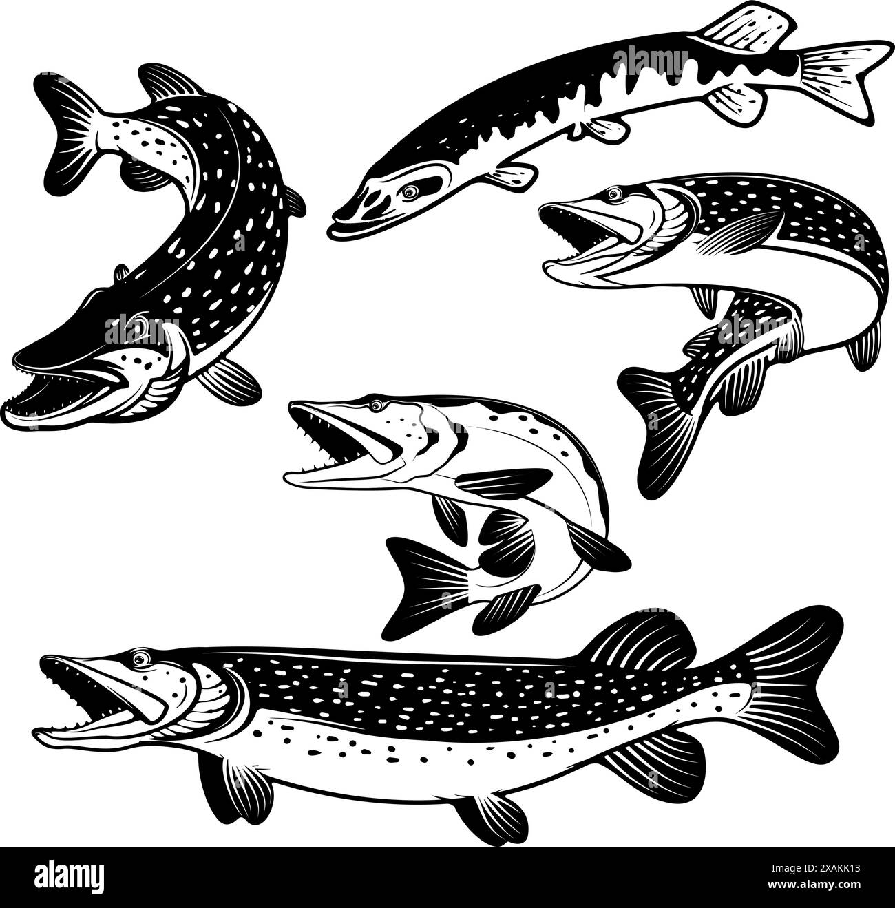 Pike fish icons. Design elements for fishing club or team. Seafood ...