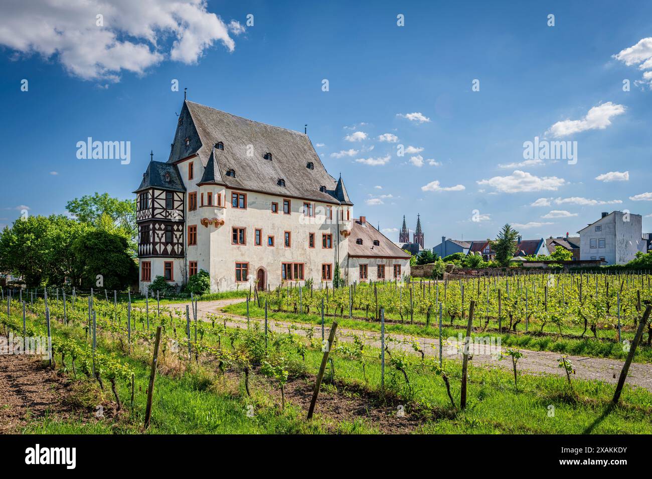 Schloss Schönborn in Geisenheim (Rheingau), former Stockheimer Hof, a