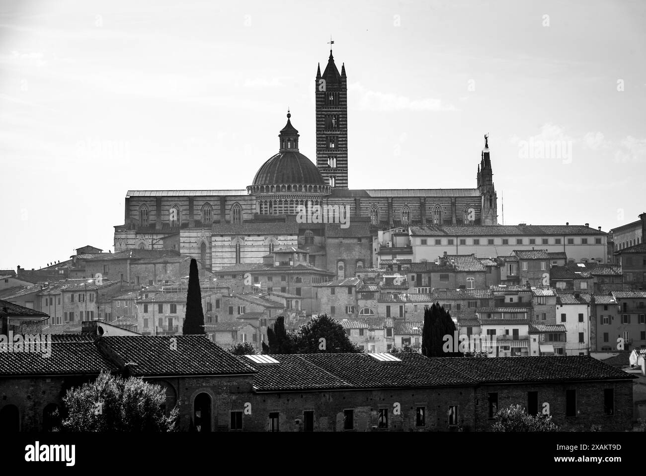 Siena amazing view Black and White Stock Photos & Images - Alamy