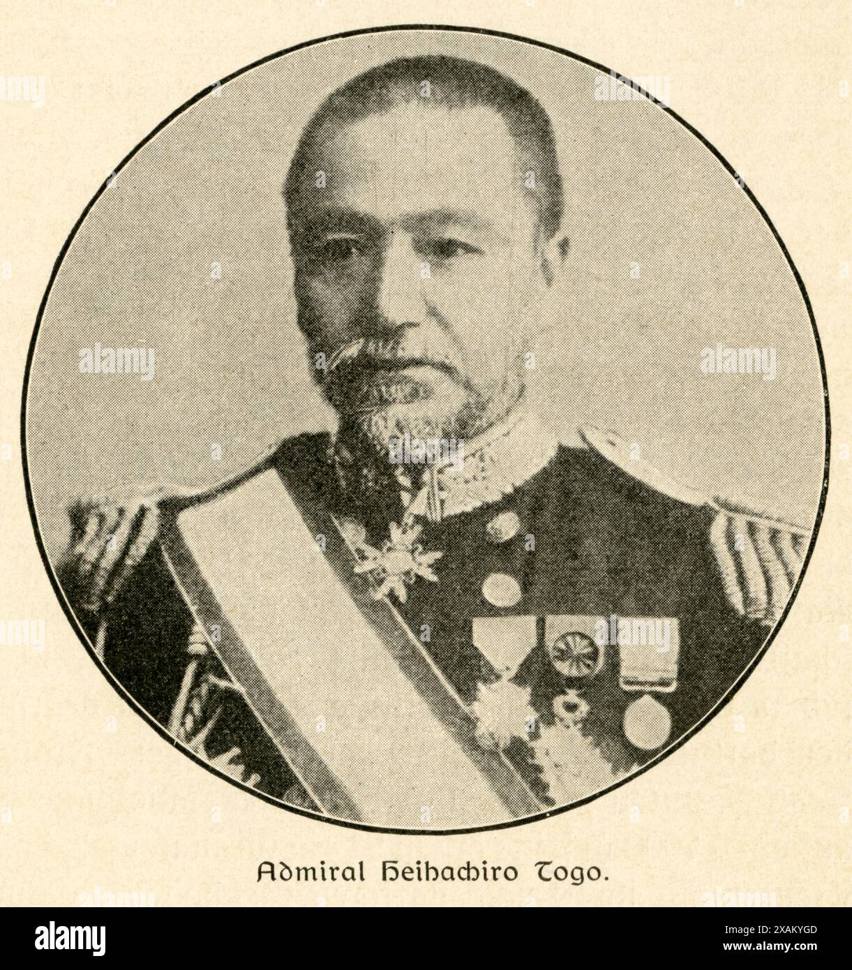 Japanischer admiral hi-res stock photography and images - Alamy