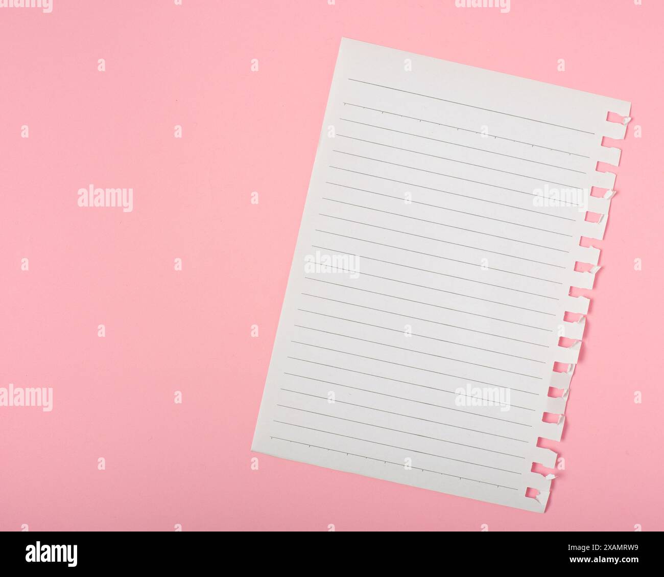 Notebook sheet with stripes on pink background. Stock Photo