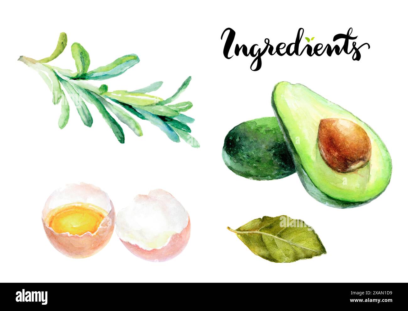 Watercolor illustration of avocado, eggs, rosemary, and bay leaf symbols of fresh and organic ingredients. Stock Photo