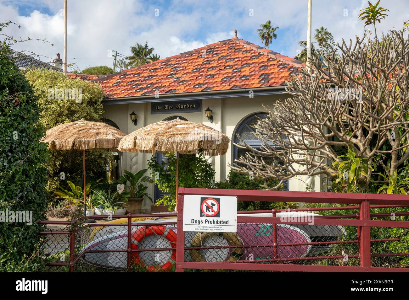 Watsons bay tea rooms hi-res stock photography and images - Alamy