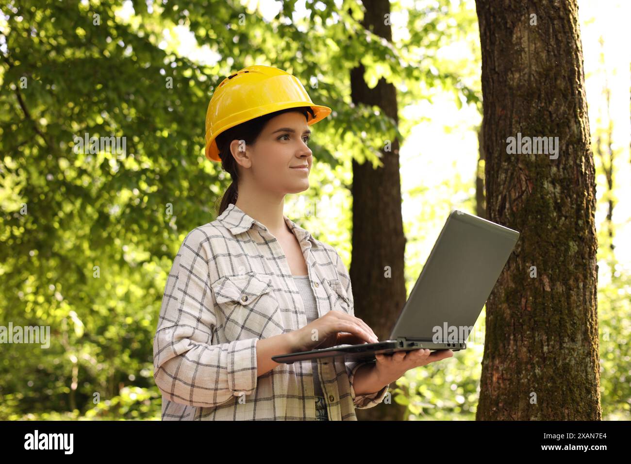 Forester in hard hat with laptop working in forest Stock Photo