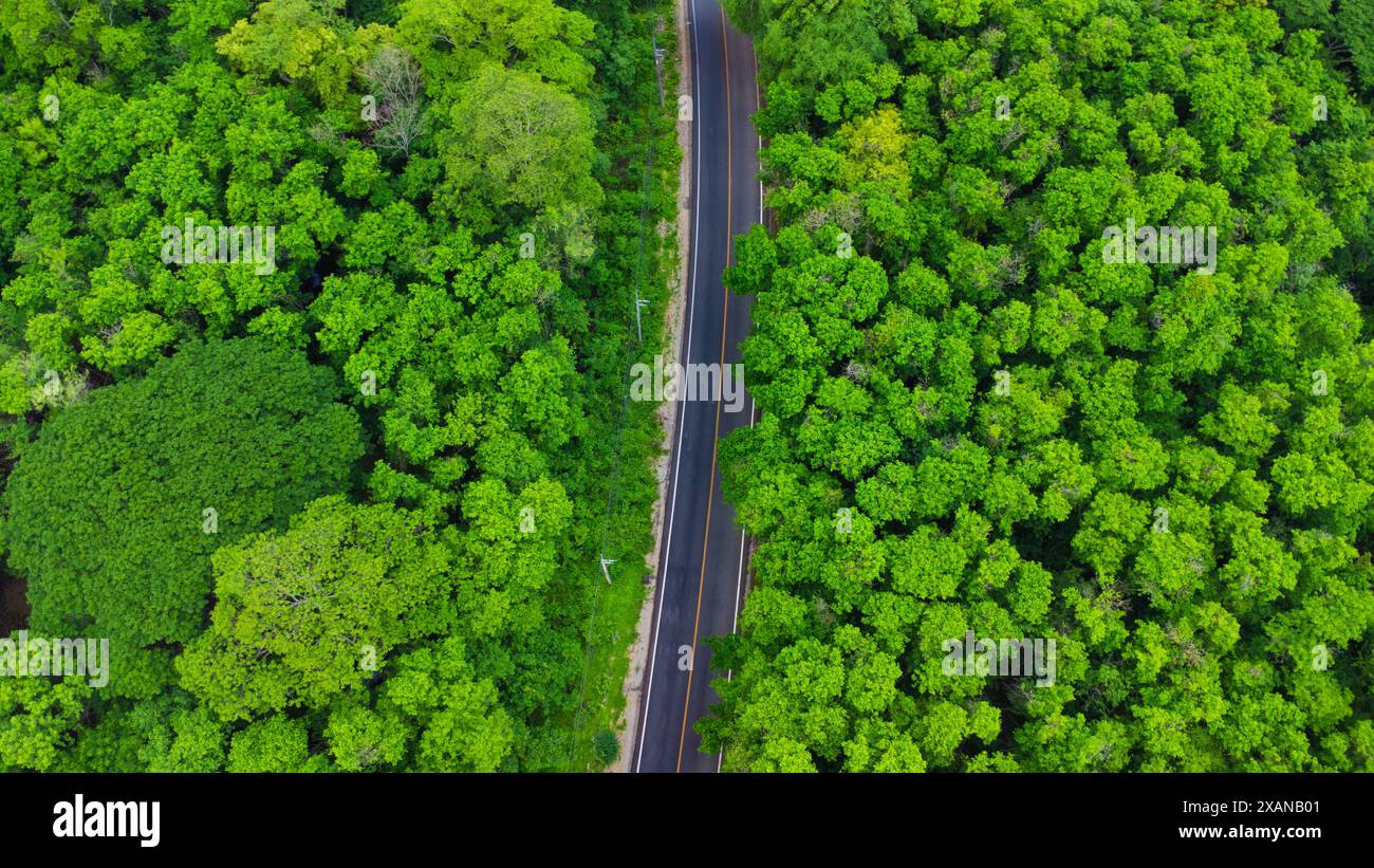 Aerial view of a road in the middle of the forest. Top view of asphalt road through forest with car adventure. Healthy environment road trip travel. Stock Photo