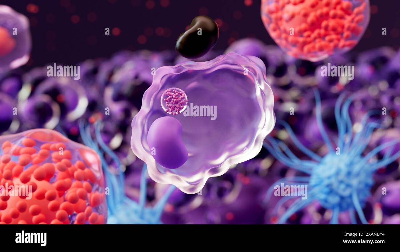 Illustration showing the immune response to tattoo ink (black). During ...