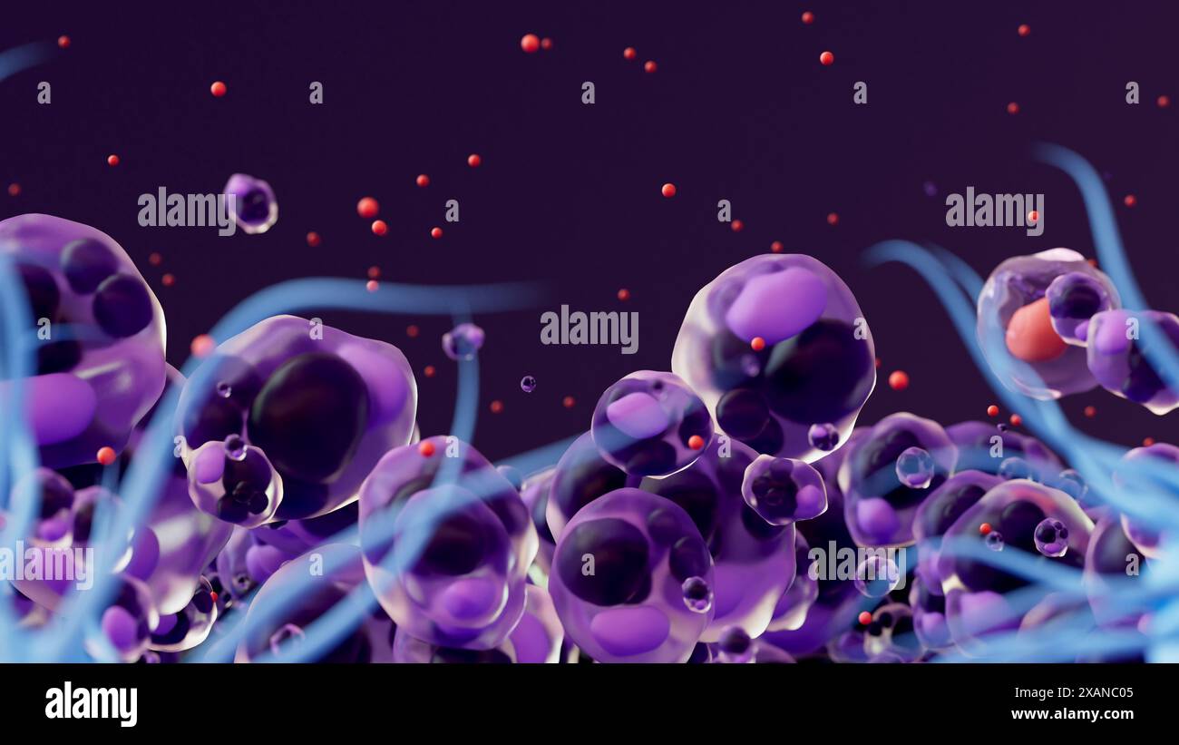 Illustration showing the immune response to tattoo ink (black). During