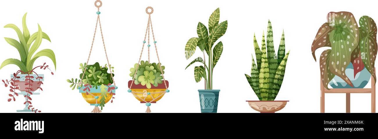 Houseplant and macrame plant growing in pots. Set of handmade home ...