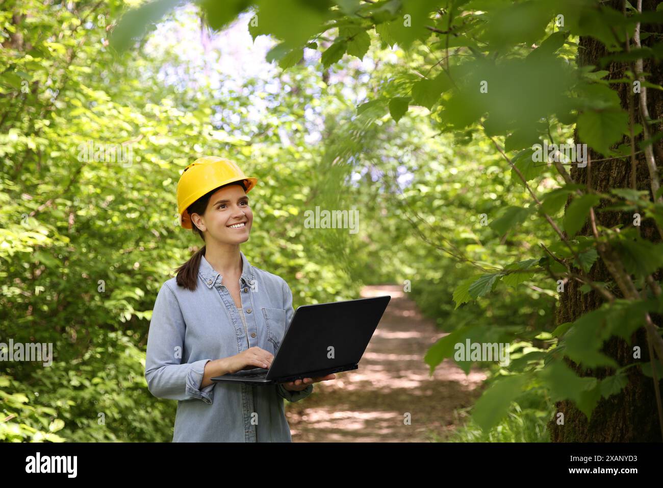 Forester with laptop examining plants in forest Stock Photo
