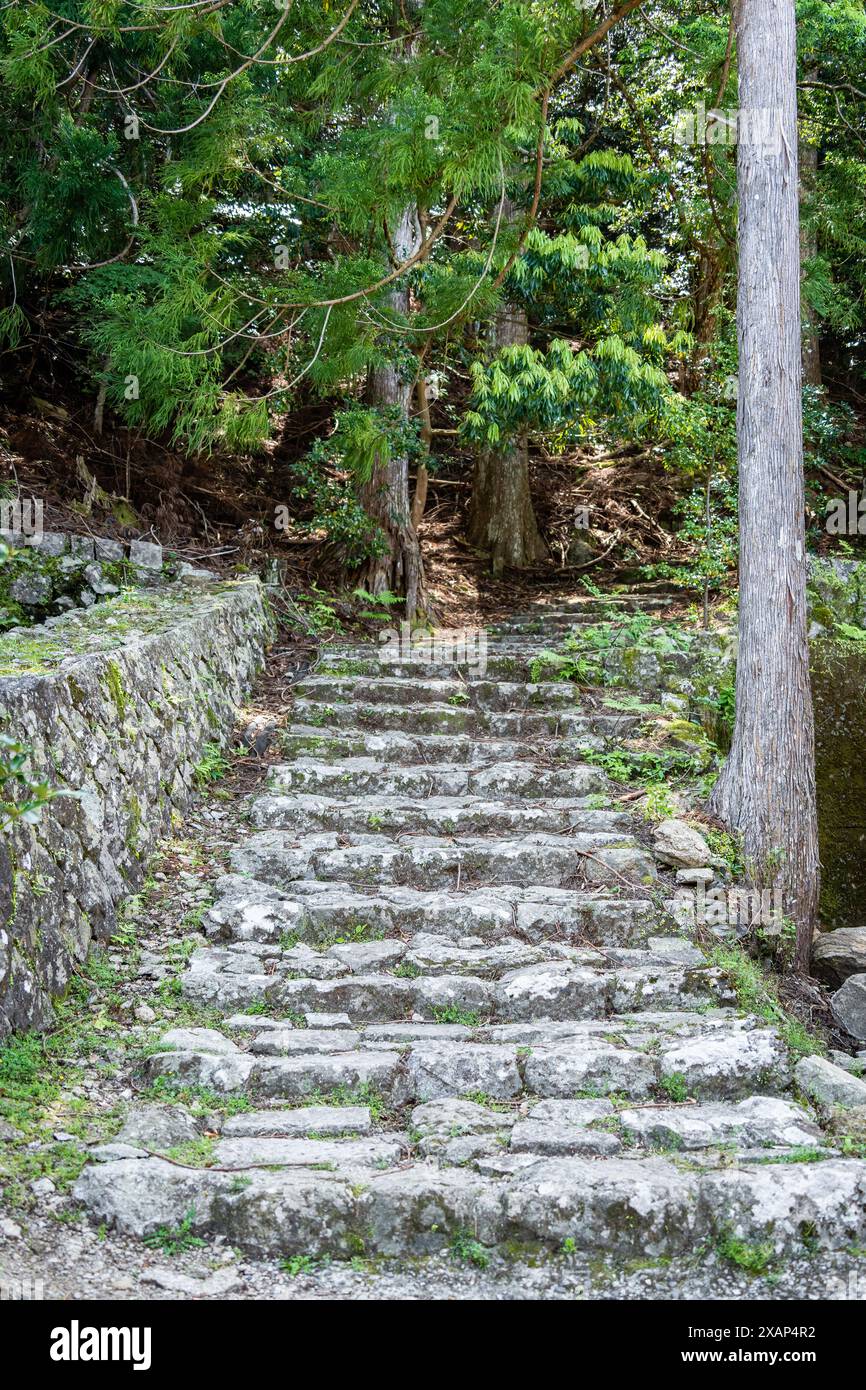 Kumano Kodo ancient pilgrimage trail in the Kii Peninsula, Japan. Cobblestone steps in the forest. Stock Photo