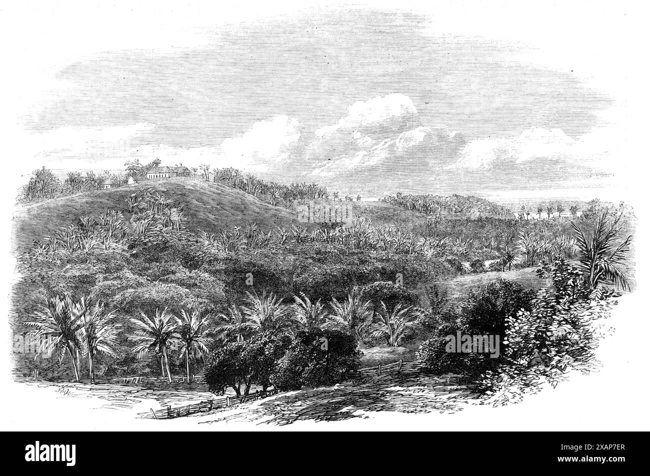 The Outbreak in Jamaica: Muirton House and Plantation, Morant Bay, 1865. 'Muirton Great House, Muirton works and plantation, are on the high road from Kingston (through Port Morant)...The estate was formerly the property of George William Gordon; it was sold by him to Mr. Mitchell, of Edinburgh, who has sold it to the Jamaica Cotton Company. The house is said to be one of the finest and the healthiest in the island. The estate was at one time valued at &#xa3;80,000, with the house built for the residence of the proprietor. Two hogsheads of sugar have been produced on it, but it is now merely c Stock Photo