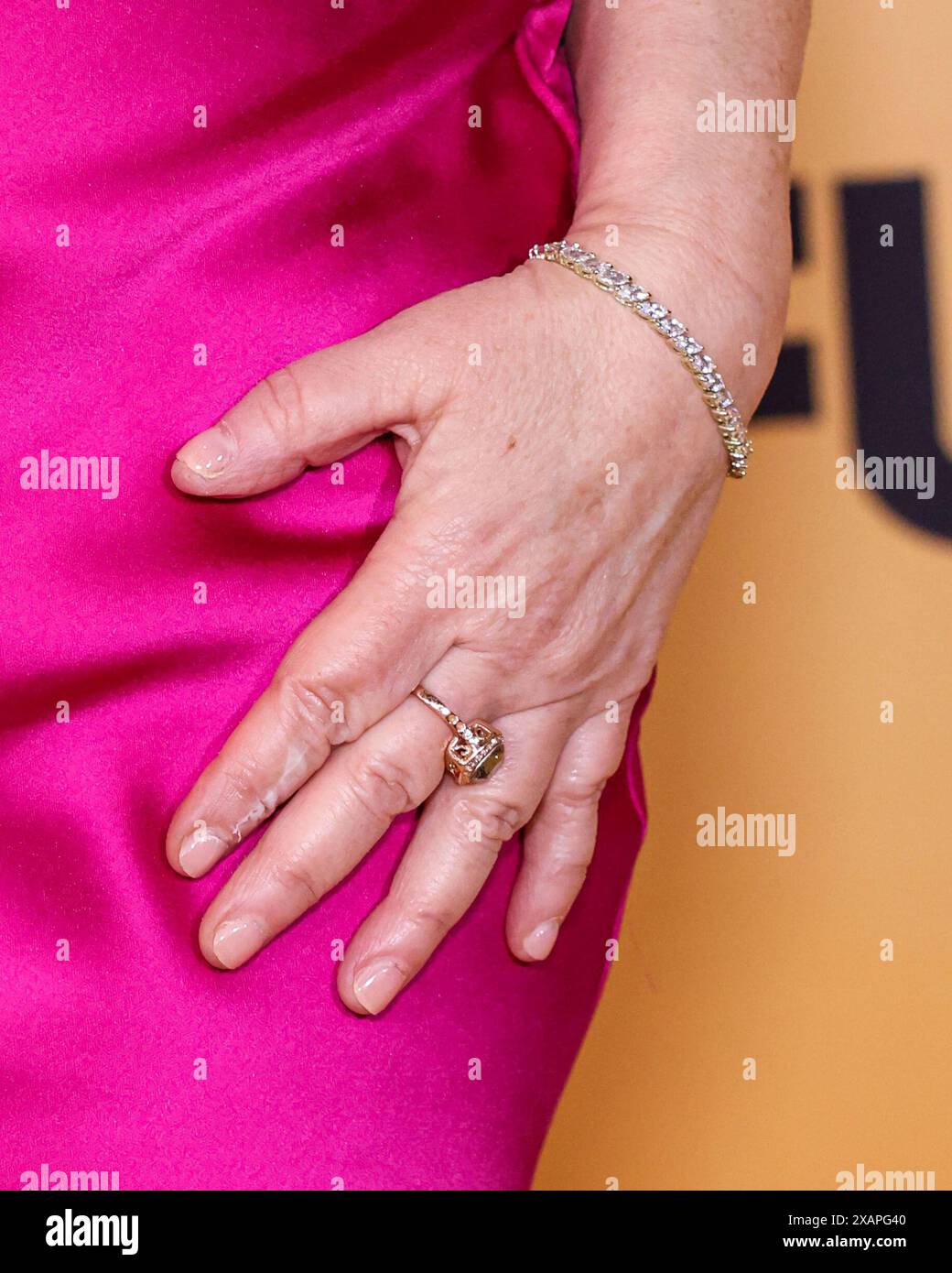 CENTURY CITY, LOS ANGELES, CALIFORNIA, USA - JUNE 07: Lisa Ann Walter arrives at the Critics Choice Celebration Of LGBTQ+ Cinema And Television held at the Fairmont Century Plaza Hotel on June 7, 2024 in Century City, Los Angeles, California, United States. (Photo by Xavier Collin/Image Press Agency) Stock Photo