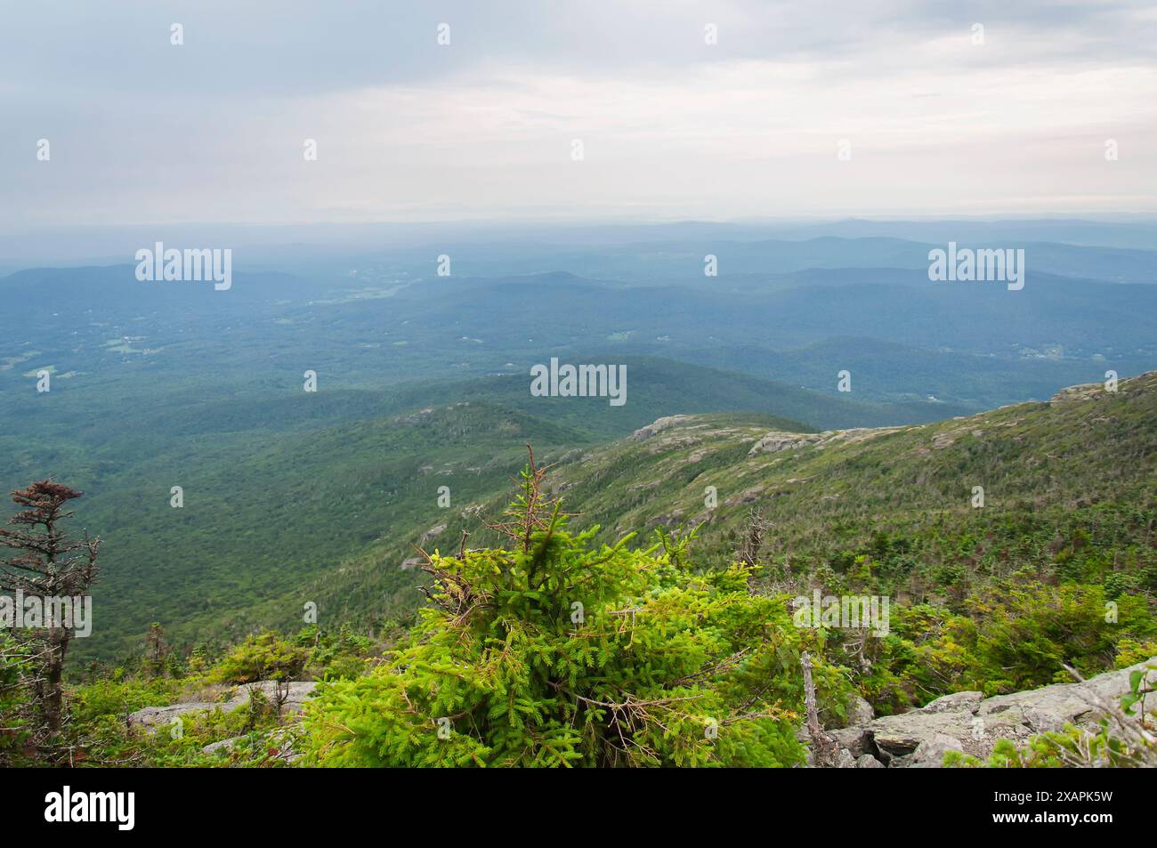 Mount mansfield vermont trail hi-res stock photography and images - Alamy
