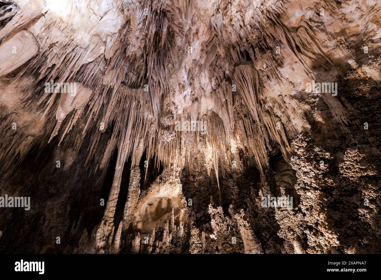 The chandelier's stalctites hanging on the ceiling of Carlsbad cavern