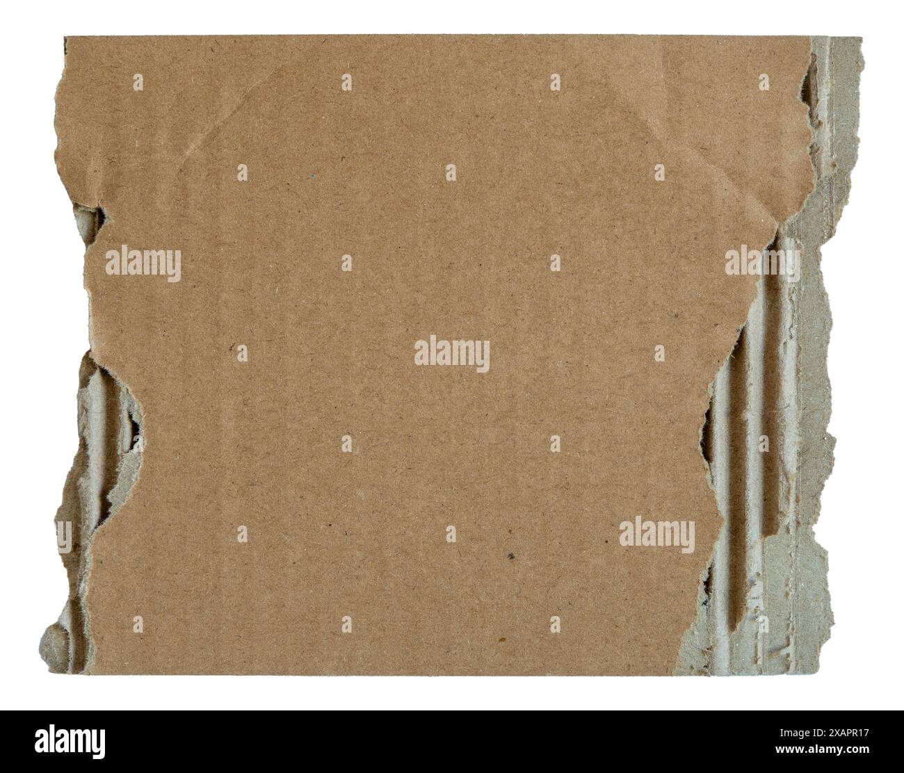 Ripped and torn cardboard paper isolated on white background. Close up ...