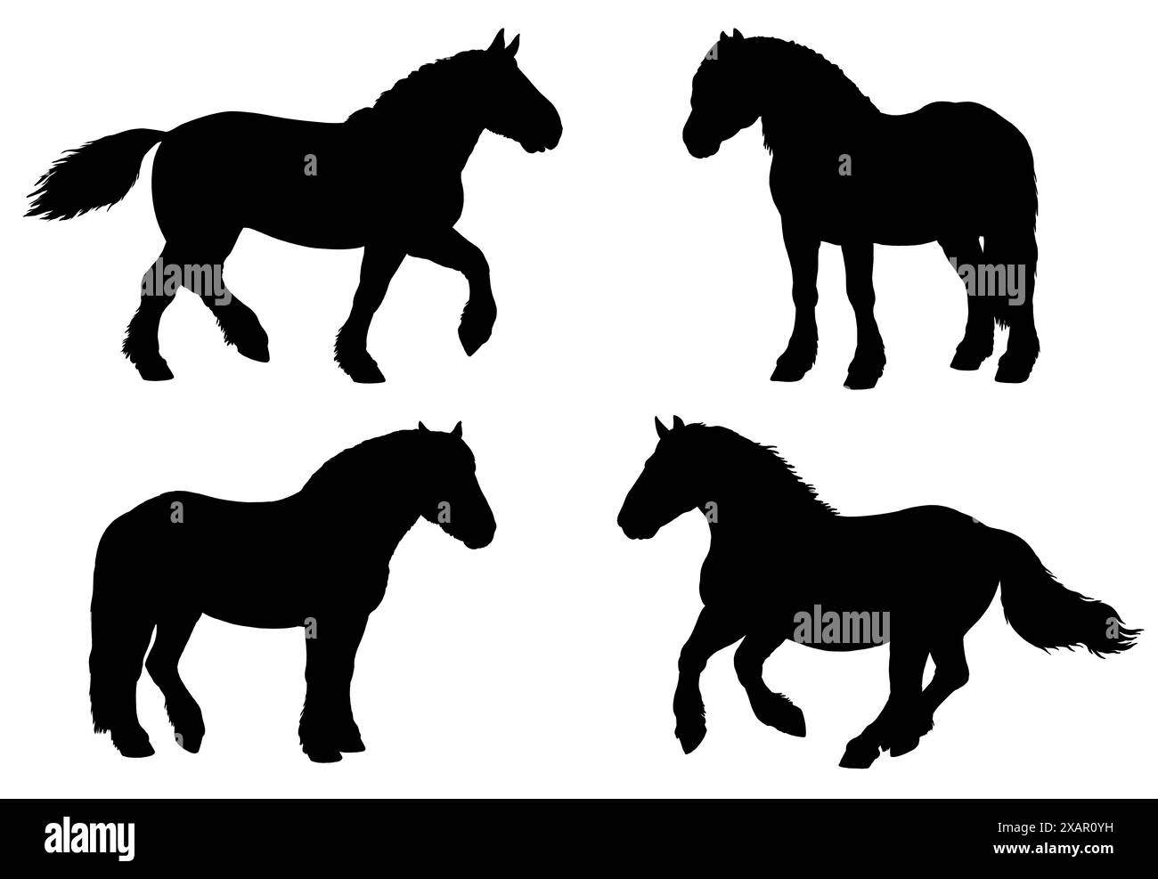 Hand drawing illustration with the draft horse. Silhouette of heavy horses. Horse portrait. Stock Photo