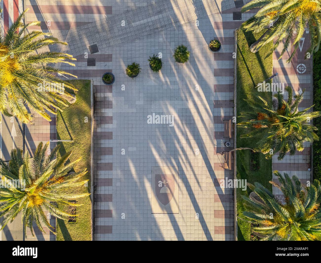 Top view street palm trees hi-res stock photography and images - Alamy