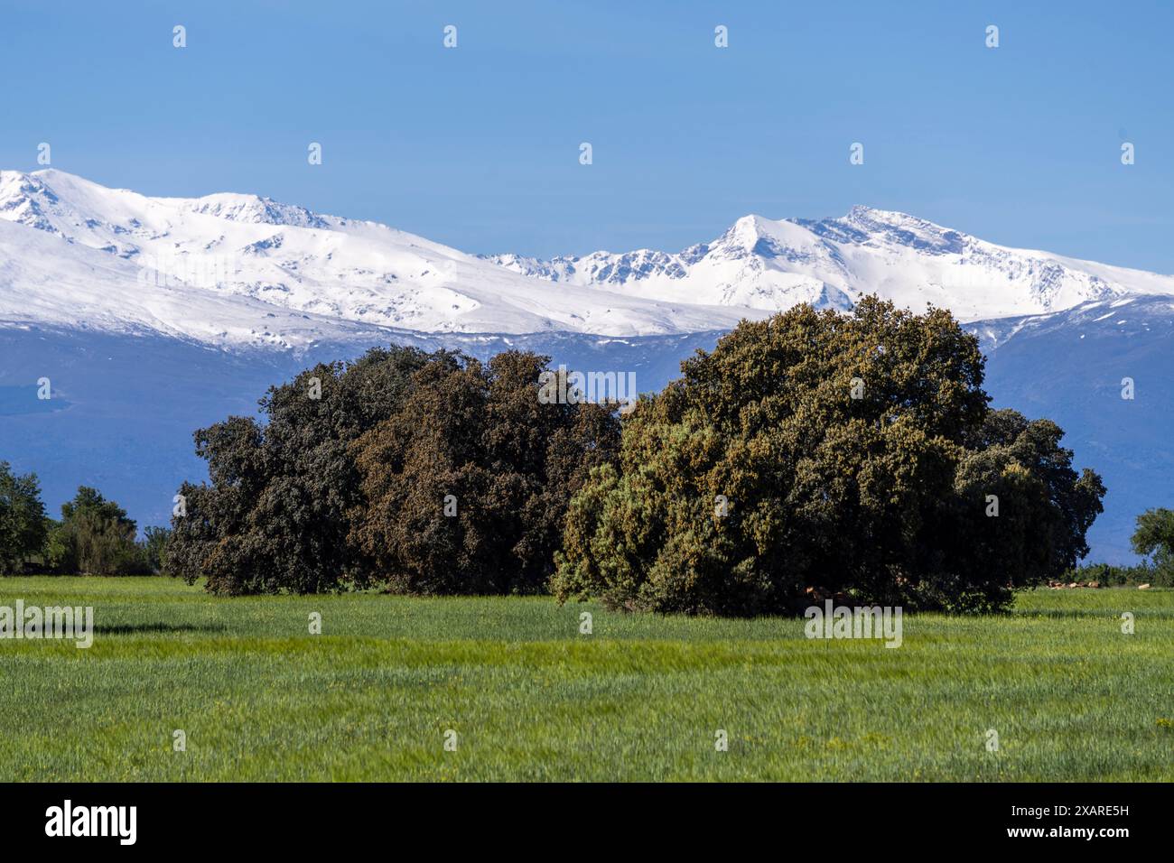 Sierra Nevada mountains, Granada Geopark, Granada province, Andalusia, Spain. Stock Photo