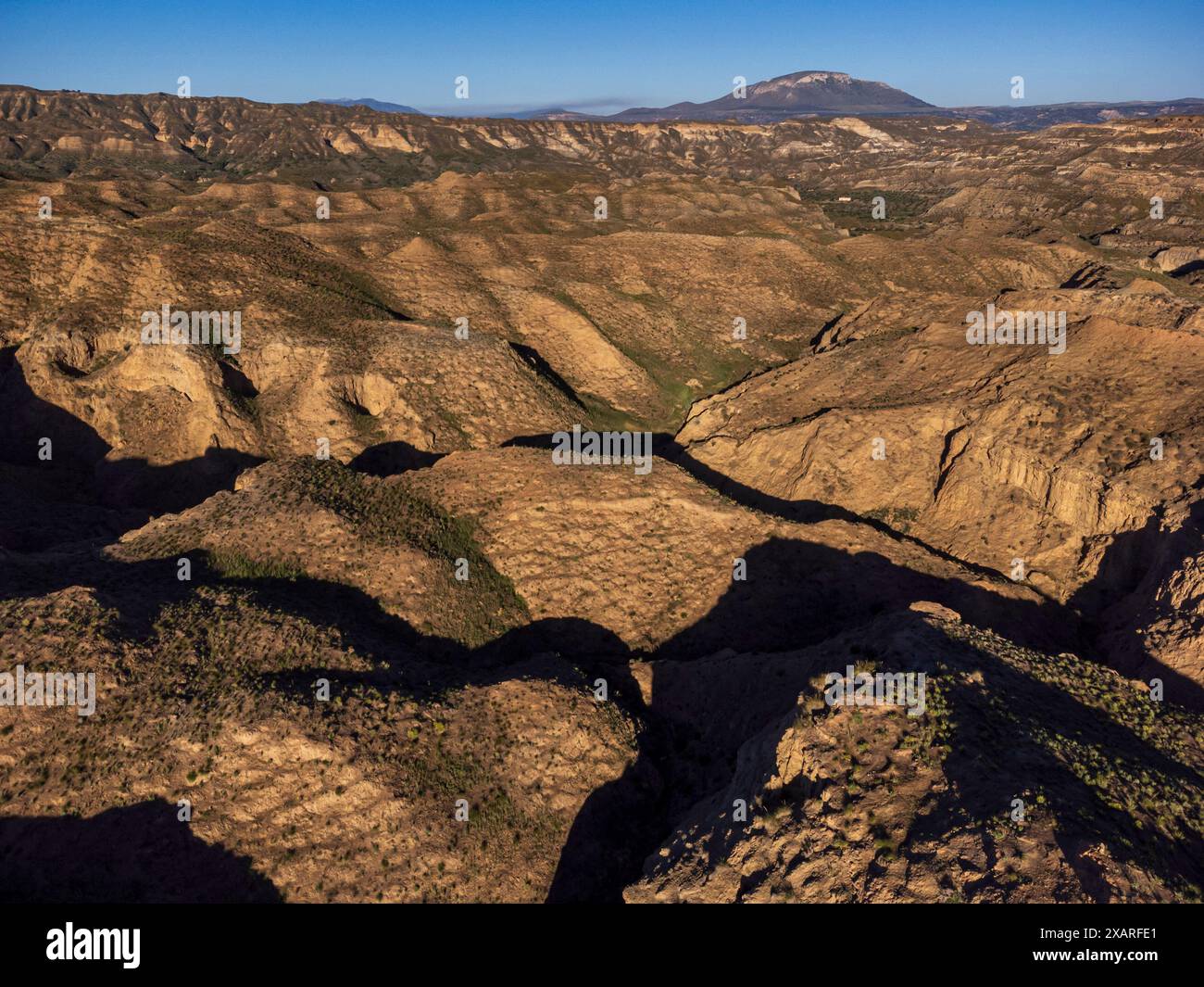Upper pliocene hi-res stock photography and images - Alamy