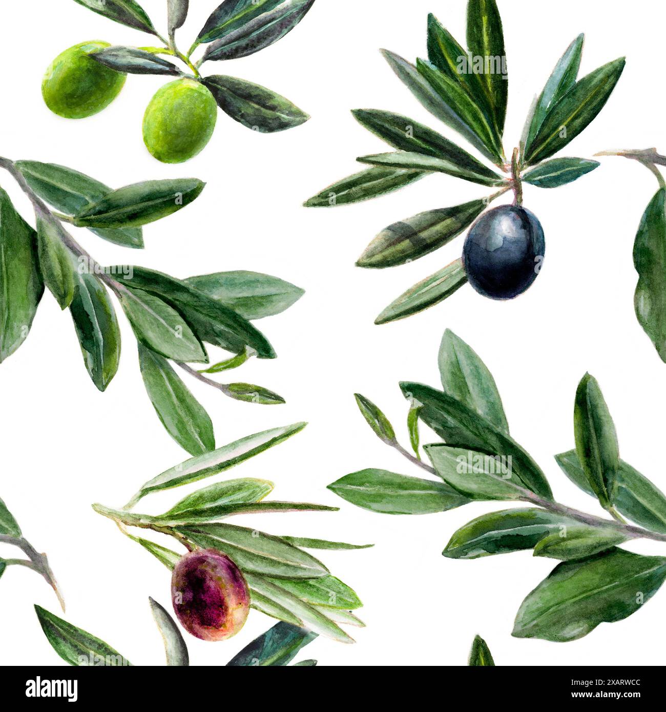 Watercolor Olives Branch Pattern with Seamless Green and Black Leaves ...