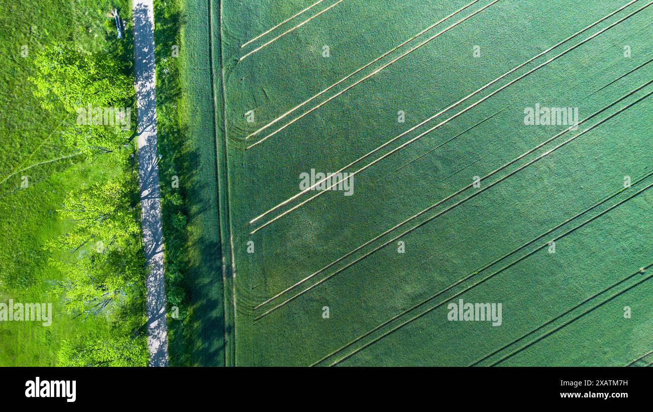Aerial View of a Road Through Green Fields Stock Photo - Alamy