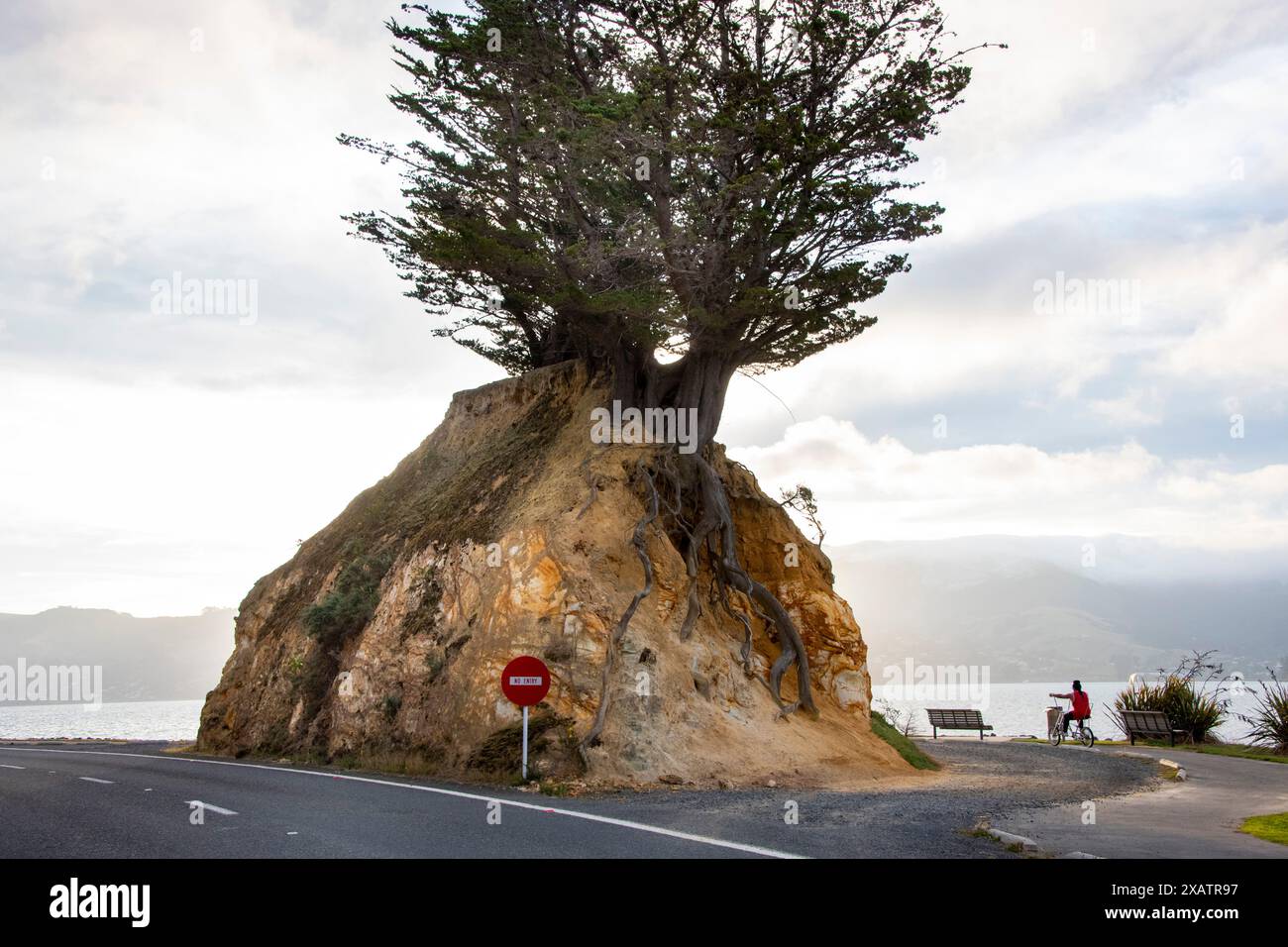 Portobello new zealand hi-res stock photography and images - Alamy