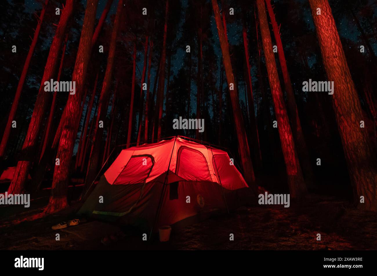 A tent is illuminated from within in a forest campground Stock Photo ...