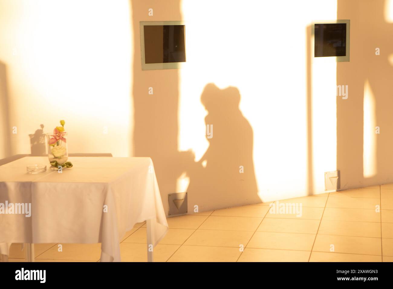 Shadow of a photographer taking pictures of flowers on a table in a photo studio Stock Photo