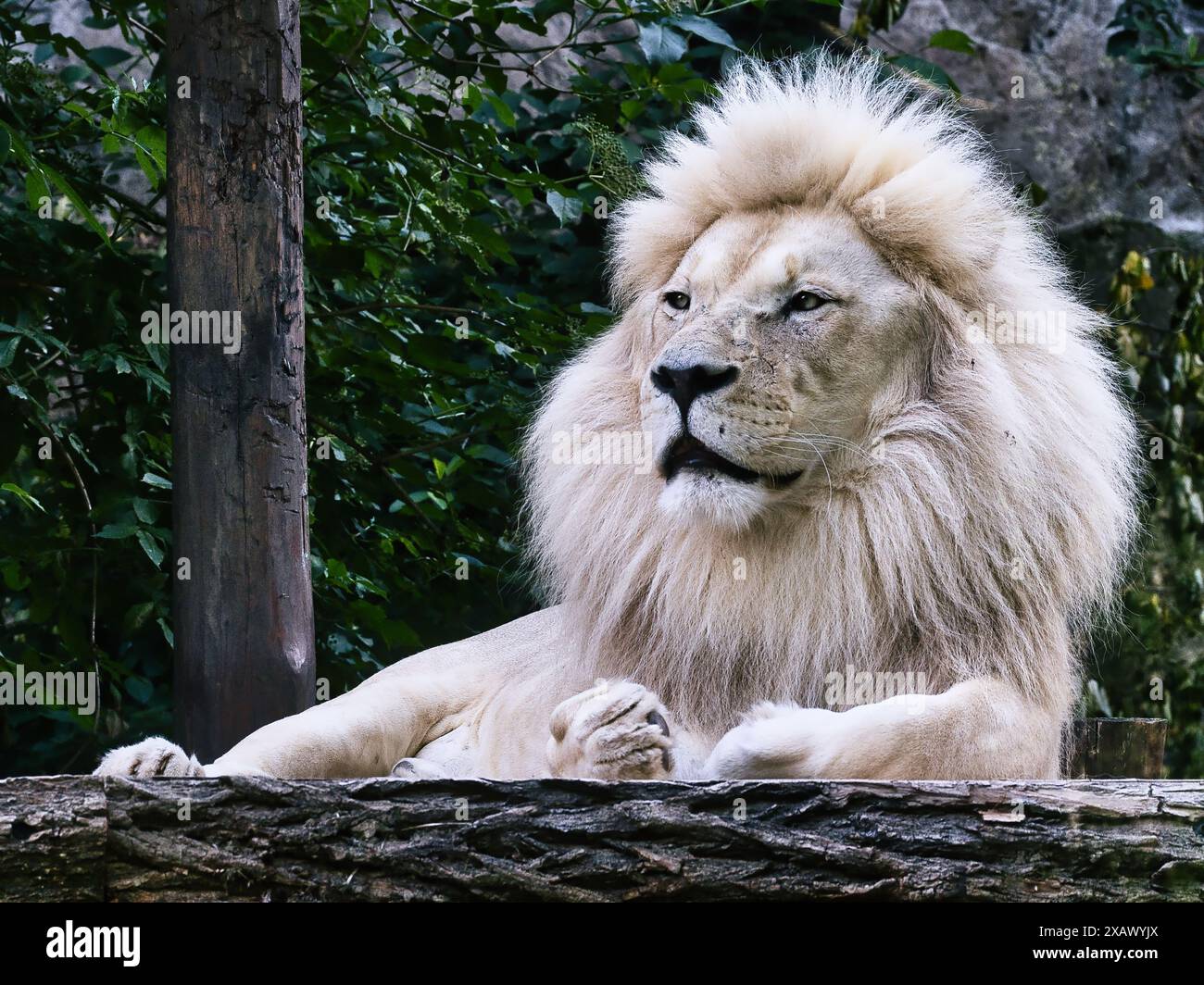 Outdoors in nature hi-res stock photography and images - Alamy