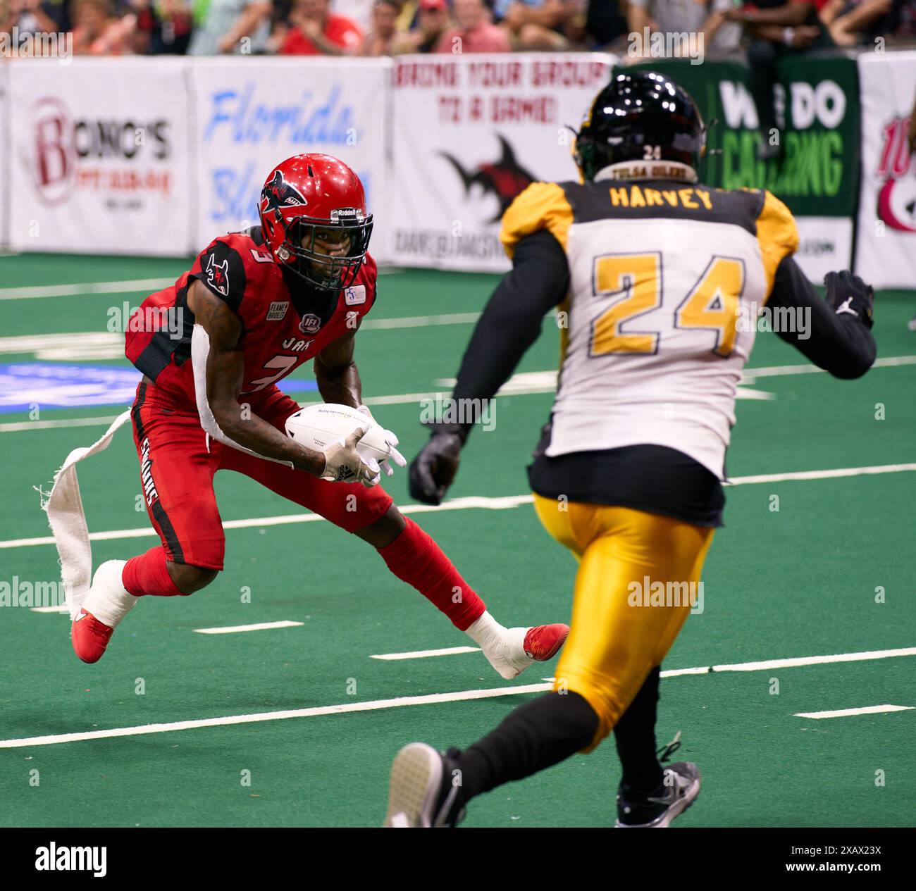 Jacksonville, Florida, USA. 8th Jun, 2024. Indoor Football League