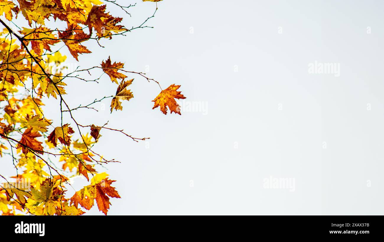 Clear wallpapers hi-res stock photography and images - Alamy